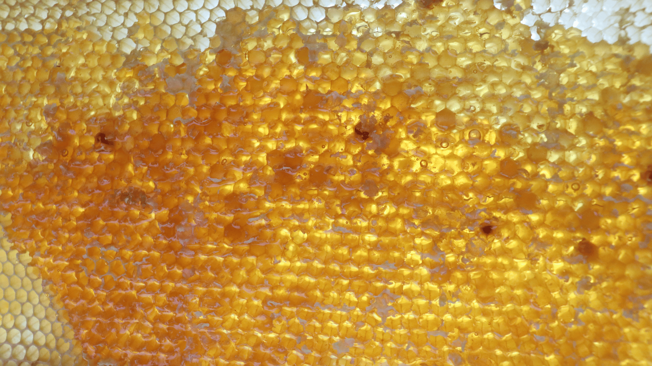 How to Make Your Brand Eligible for AI Search