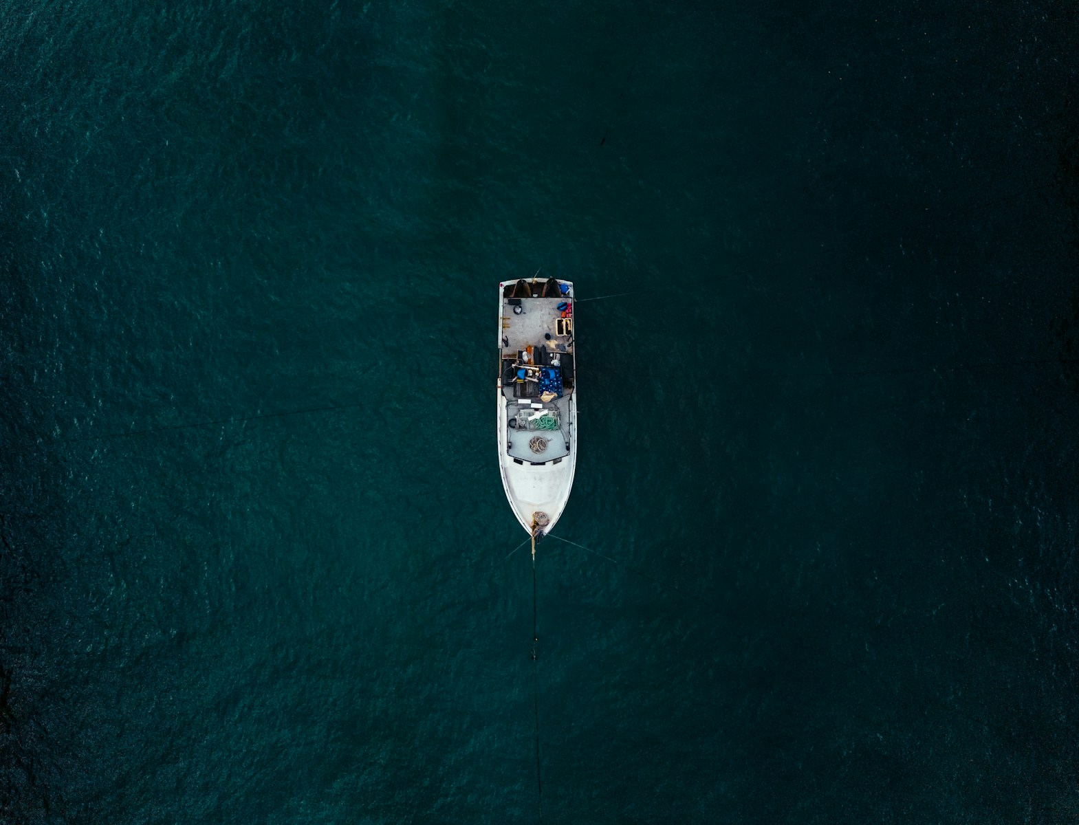 The Brand in the Middle: Where the Money Goes and Where It Should