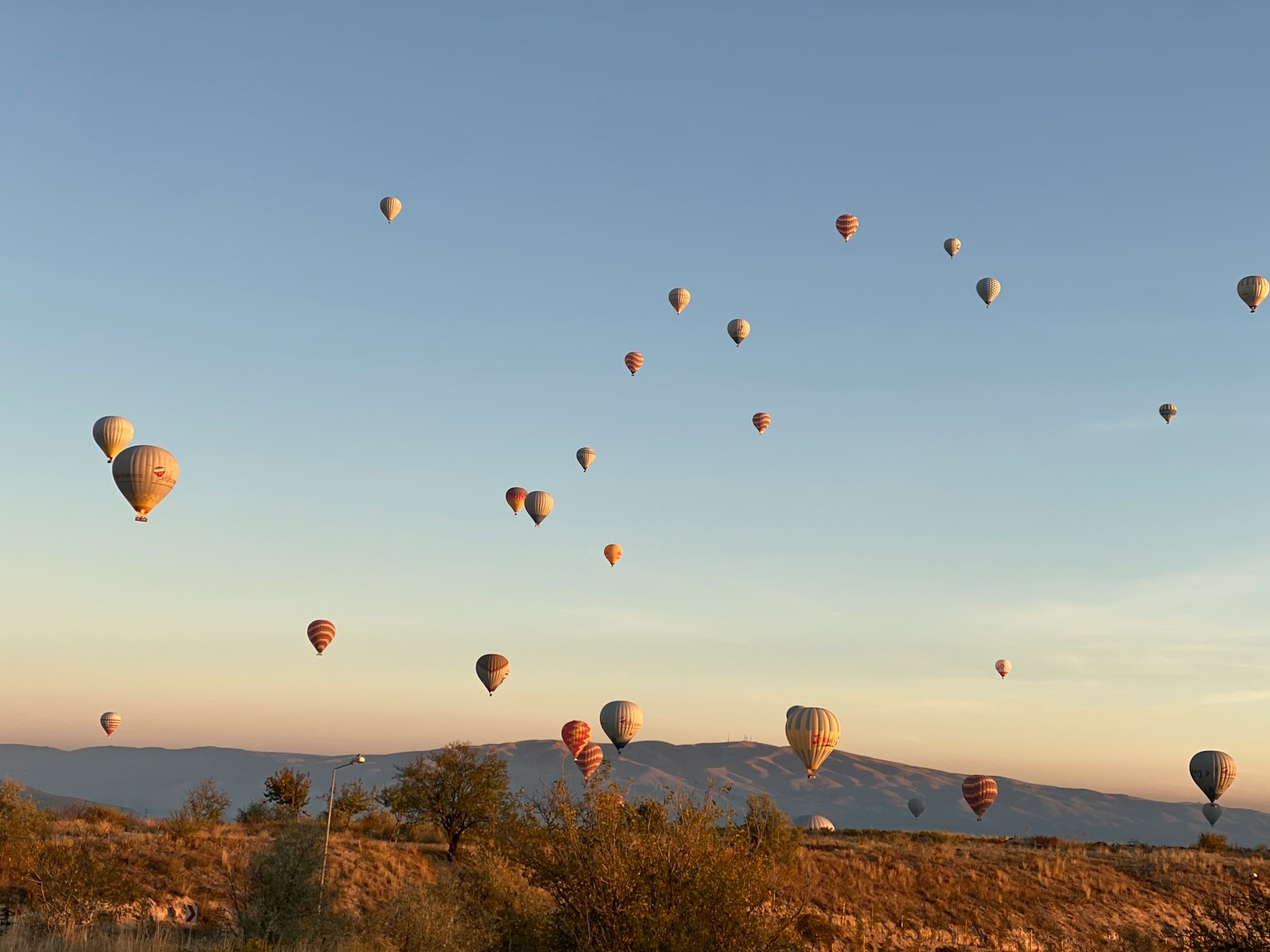 A bunch of hot air balloons flying in the sky